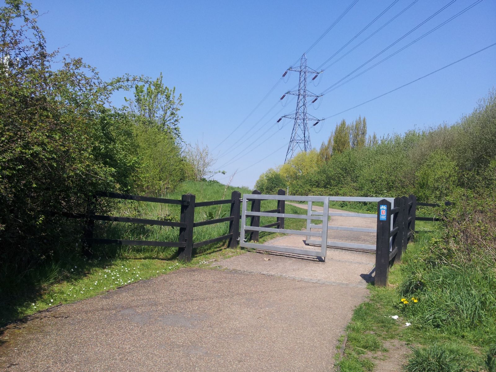 Walthamstow Marshes
